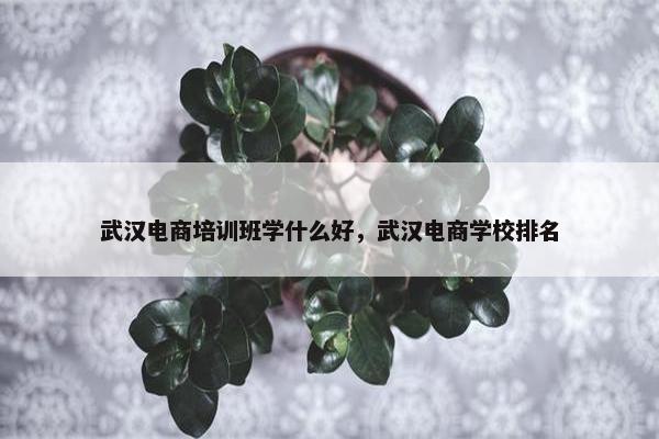 武汉电商培训班学什么好，武汉电商学校排名