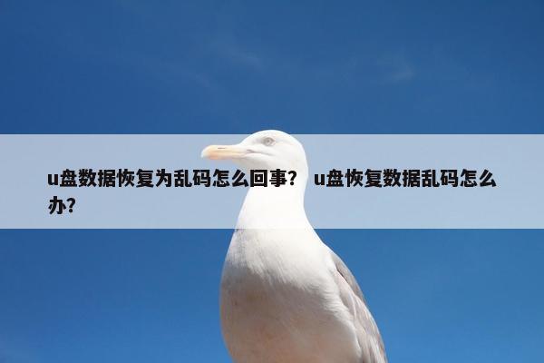 u盘数据恢复为乱码怎么回事？ u盘恢复数据乱码怎么办？