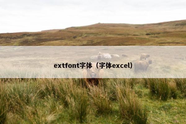 extfont字体（字体excel）