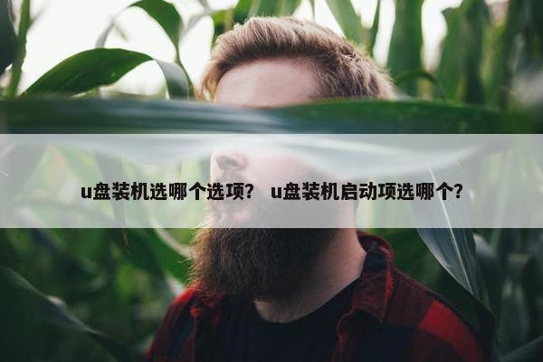 u盘装机选哪个选项？ u盘装机启动项选哪个？