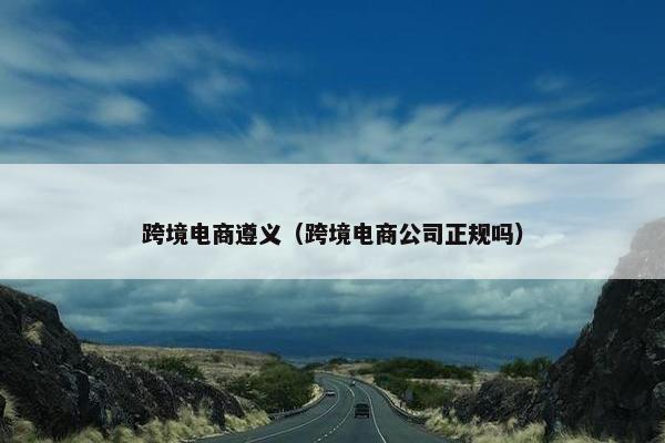 跨境电商遵义（跨境电商公司正规吗）