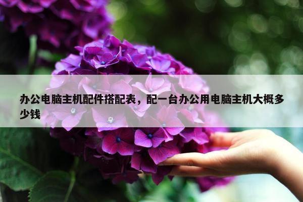 办公电脑主机配件搭配表，配一台办公用电脑主机大概多少钱
