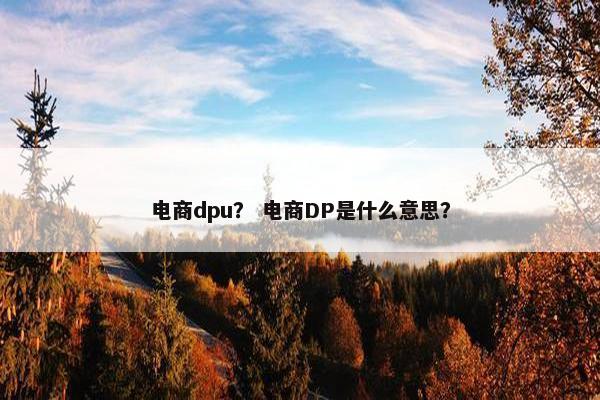 电商dpu？ 电商DP是什么意思？