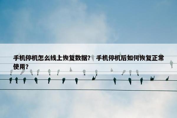 手机停机怎么线上恢复数据？ 手机停机后如何恢复正常使用？
