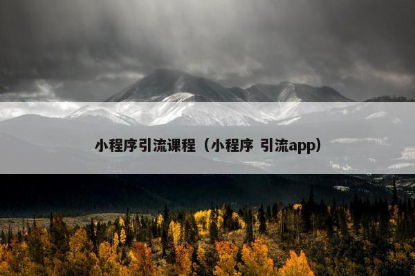 小程序引流课程（小程序 引流app）