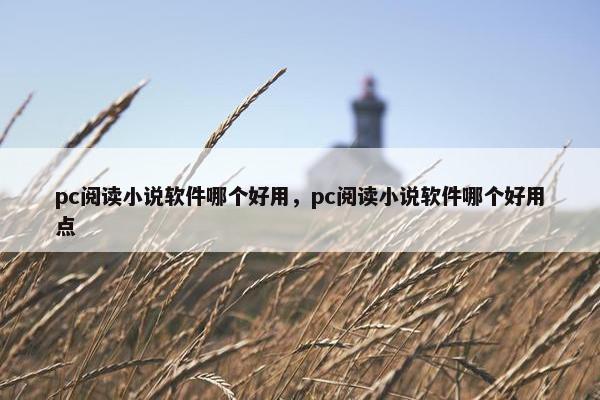 pc阅读小说软件哪个好用，pc阅读小说软件哪个好用点
