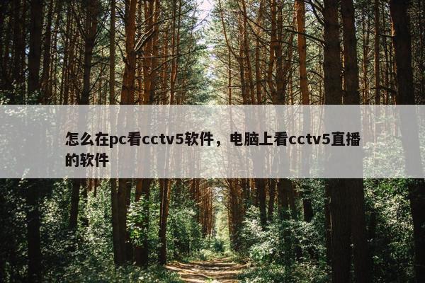 怎么在pc看cctv5软件，电脑上看cctv5直播的软件