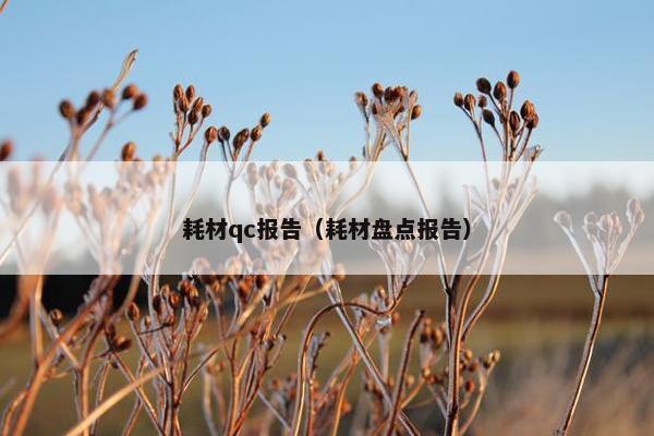耗材qc报告（耗材盘点报告）