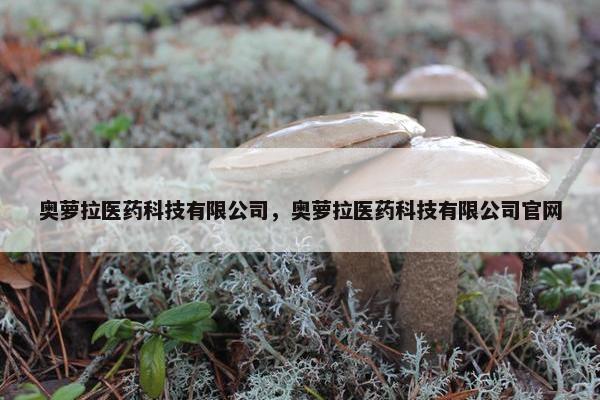 奥萝拉医药科技有限公司，奥萝拉医药科技有限公司官网