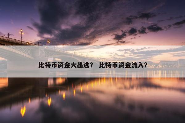 比特币资金大出逃？ 比特币资金流入？