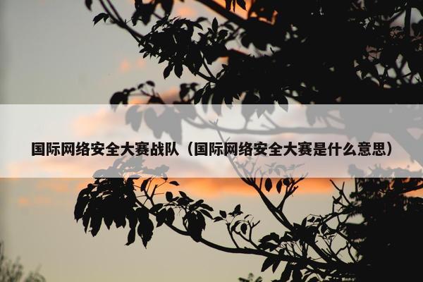 国际网络安全大赛战队（国际网络安全大赛是什么意思）