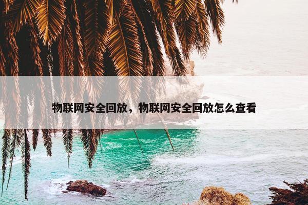物联网安全回放，物联网安全回放怎么查看