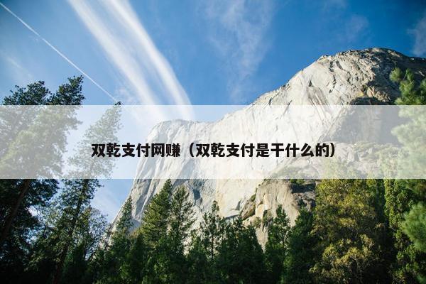 双乾支付网赚（双乾支付是干什么的）