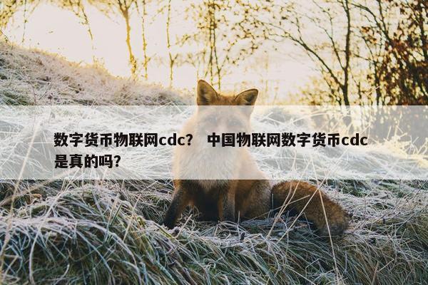 数字货币物联网cdc？ 中国物联网数字货币cdc 是真的吗？