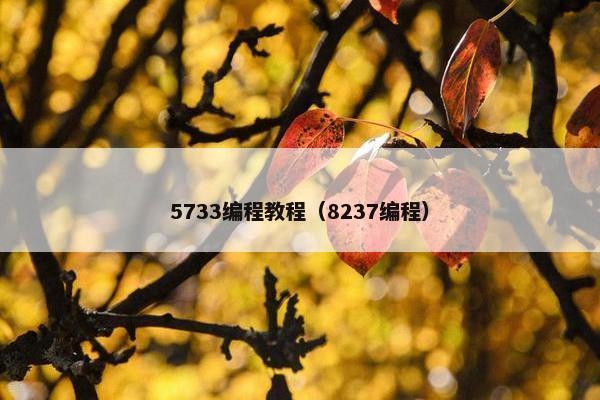 5733编程教程（8237编程）
