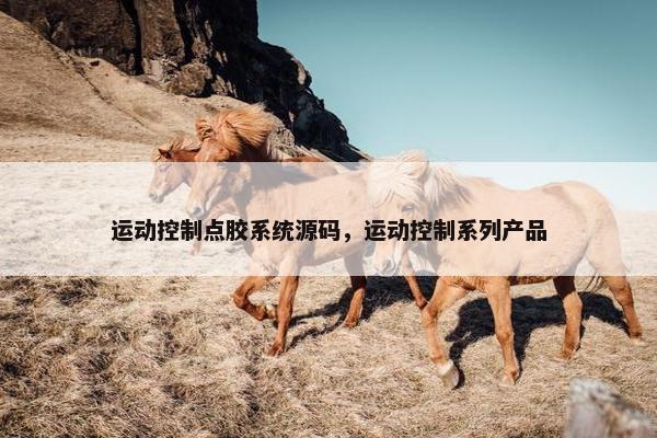 运动控制点胶系统源码，运动控制系列产品