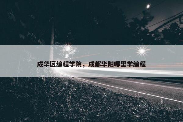 成华区编程学院，成都华阳哪里学编程