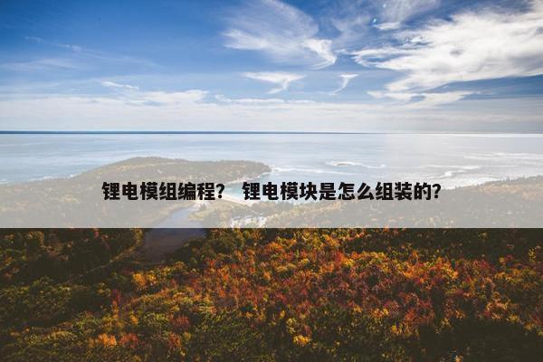 锂电模组编程？ 锂电模块是怎么组装的？