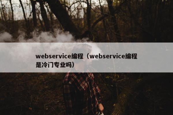 webservice编程（webservice编程是冷门专业吗）
