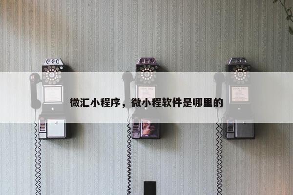微汇小程序，微小程软件是哪里的