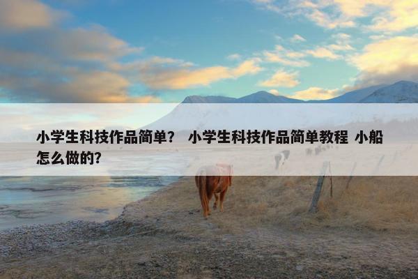 小学生科技作品简单？ 小学生科技作品简单教程 小船怎么做的？