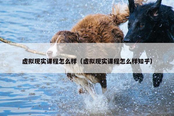 虚拟现实课程怎么样（虚拟现实课程怎么样知乎）