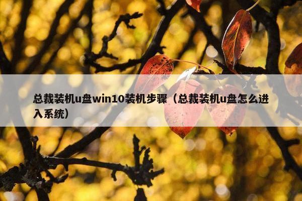 总裁装机u盘win10装机步骤（总裁装机u盘怎么进入系统）