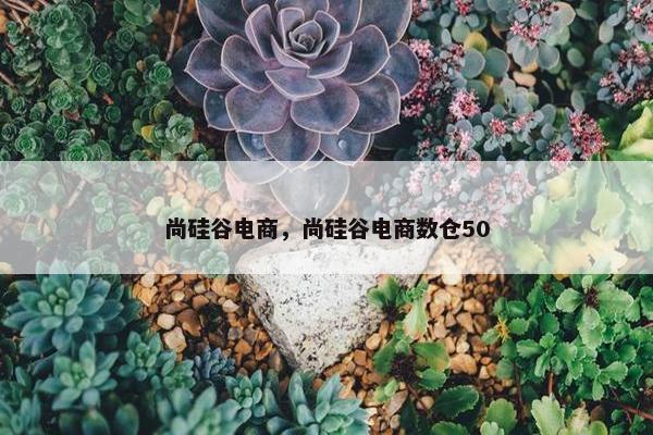尚硅谷电商，尚硅谷电商数仓50