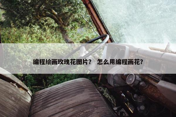 编程绘画玫瑰花图片？ 怎么用编程画花？