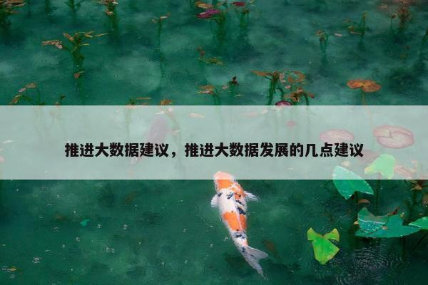 推进大数据建议，推进大数据发展的几点建议
