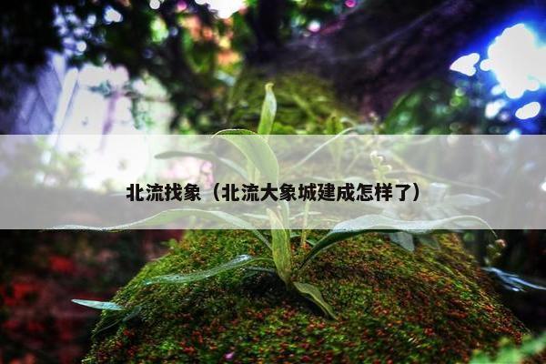 北流找象（北流大象城建成怎样了）