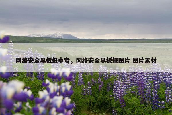 网络安全黑板报中专，网络安全黑板报图片 图片素材