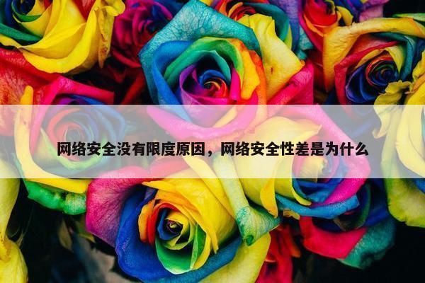 网络安全没有限度原因，网络安全性差是为什么
