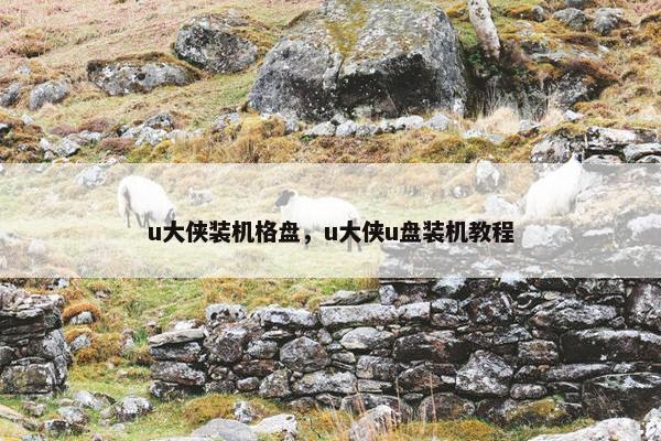 u大侠装机格盘，u大侠u盘装机教程