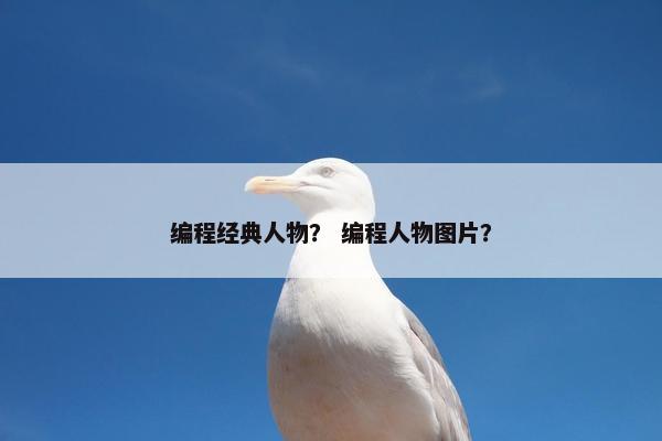 编程经典人物？ 编程人物图片？