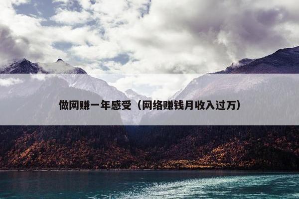 做网赚一年感受（网络赚钱月收入过万）