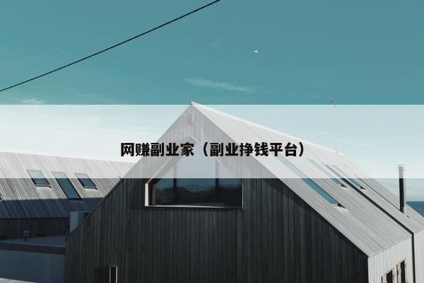 网赚副业家（副业挣钱平台）