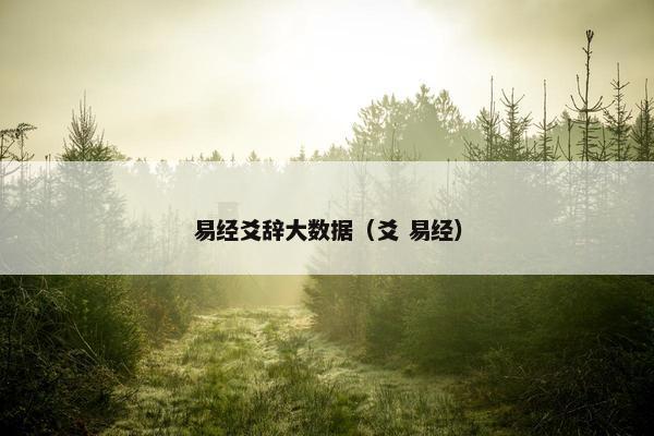 易经爻辞大数据（爻 易经）
