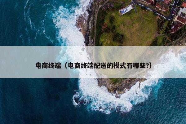 电商终端（电商终端配送的模式有哪些?）