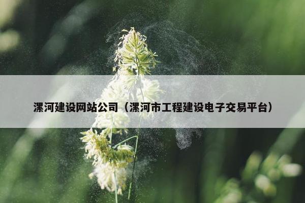 漯河建设网站公司（漯河市工程建设电子交易平台）