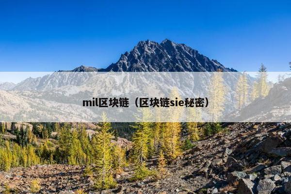 mil区块链（区块链sie秘密）
