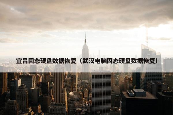 宜昌固态硬盘数据恢复（武汉电脑固态硬盘数据恢复）