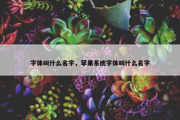 字体叫什么名字，苹果系统字体叫什么名字