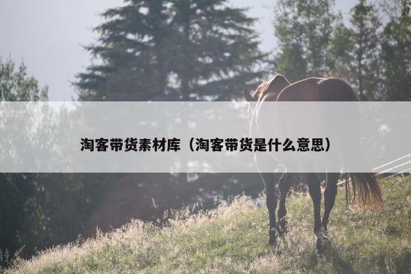 淘客带货素材库（淘客带货是什么意思）