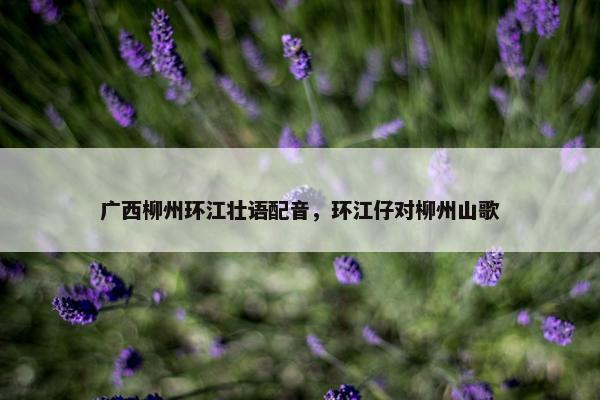 广西柳州环江壮语配音，环江仔对柳州山歌