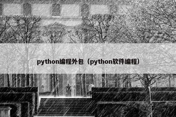 python编程外包（python软件编程）