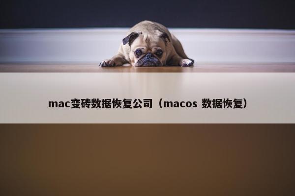 mac变砖数据恢复公司（macos 数据恢复）