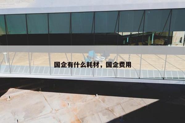 国企有什么耗材，国企费用
