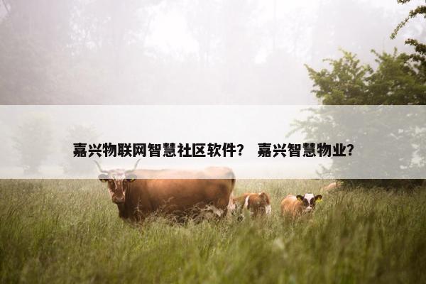 嘉兴物联网智慧社区软件？ 嘉兴智慧物业？