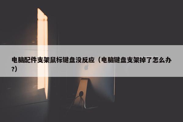 电脑配件支架鼠标键盘没反应（电脑键盘支架掉了怎么办?）